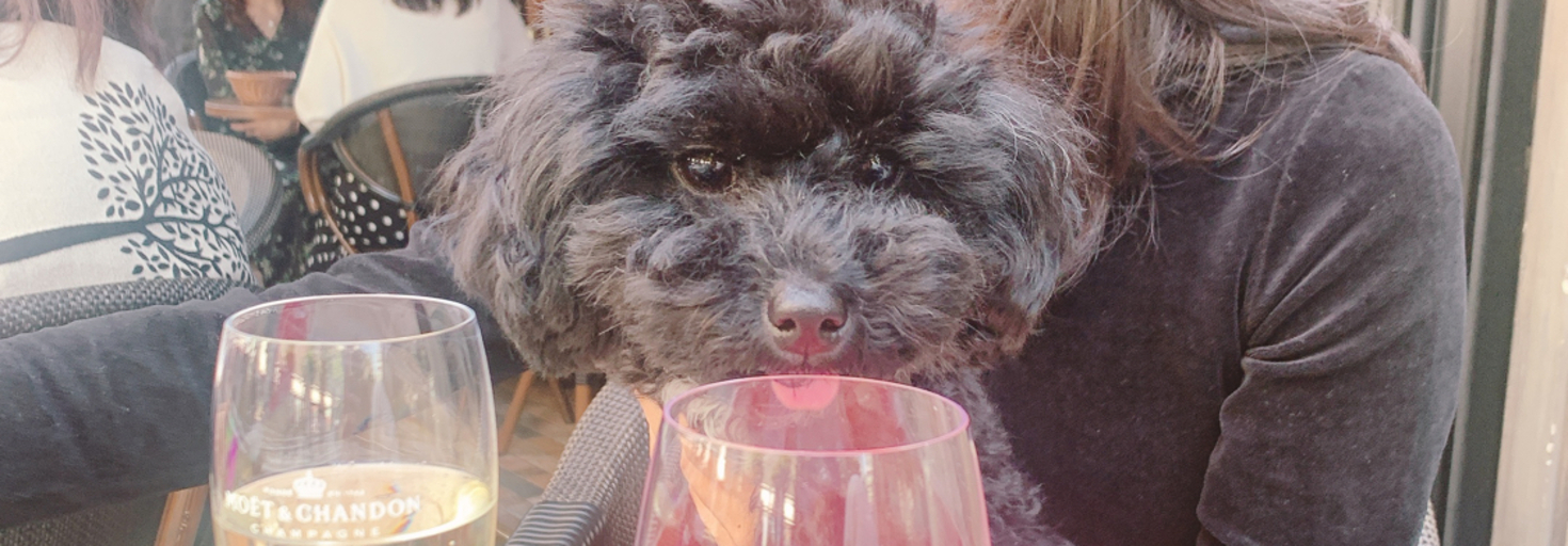 レビュアーのカバー画像