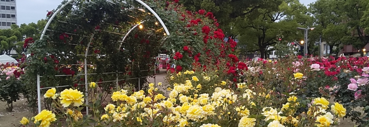 レビュアーのカバー画像