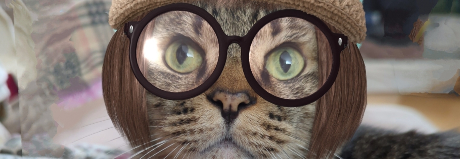 レビュアーのカバー画像