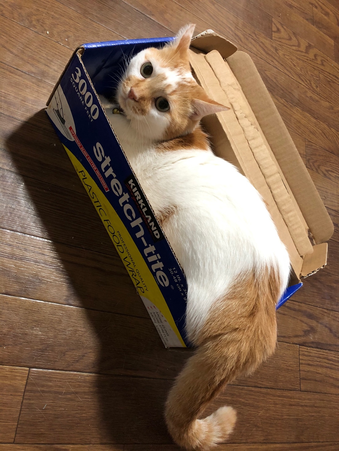 レビュアーのカバー画像