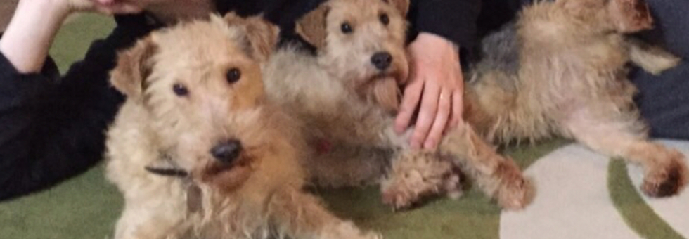 レビュアーのカバー画像