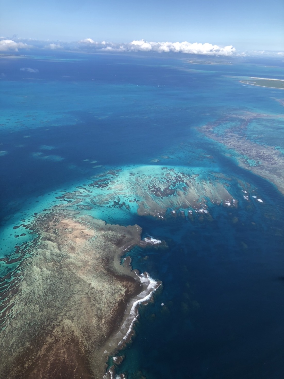 レビュアーのカバー画像