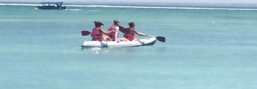 レビュアーのカバー画像