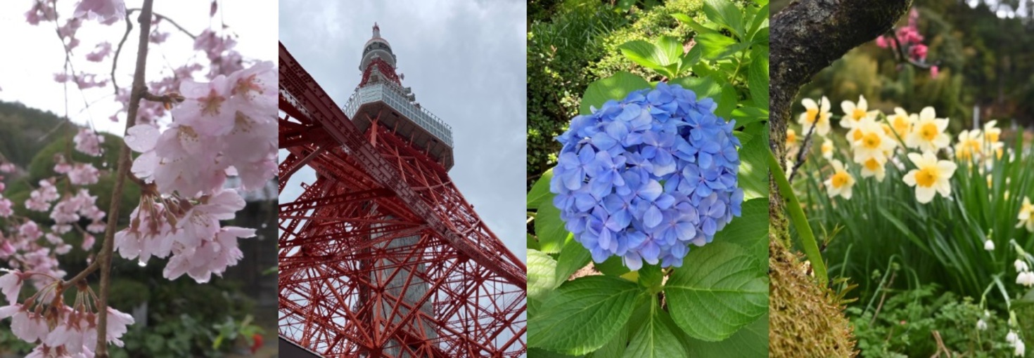 レビュアーのカバー画像