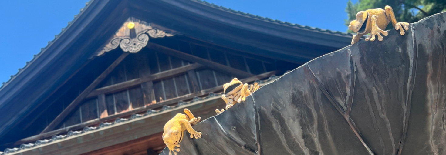 レビュアーのカバー画像