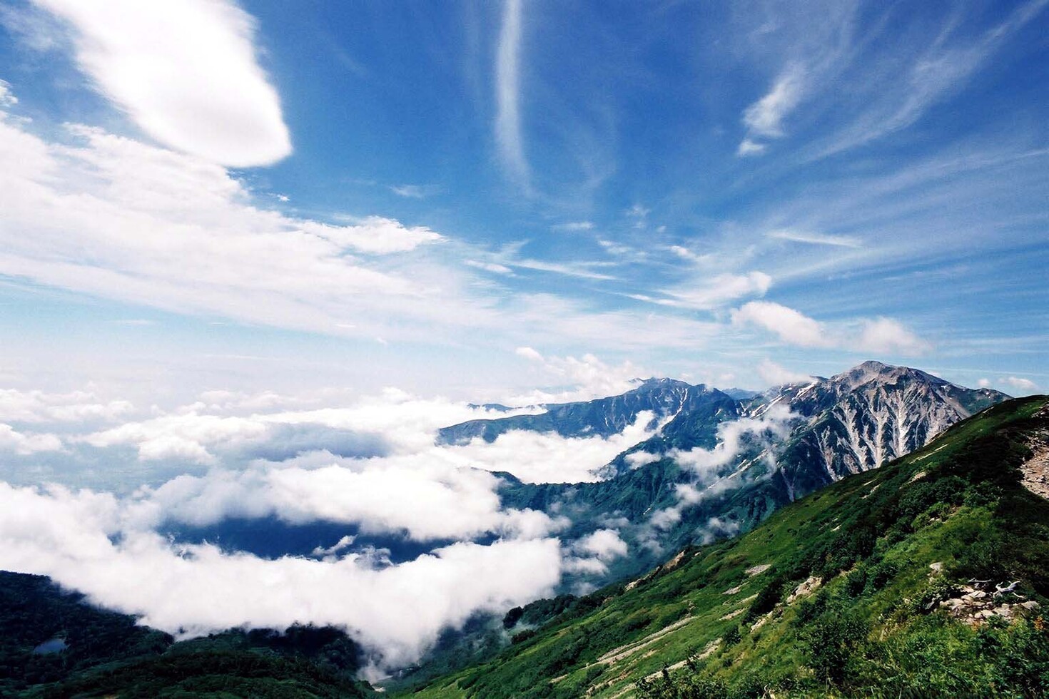 レビュアーのカバー画像