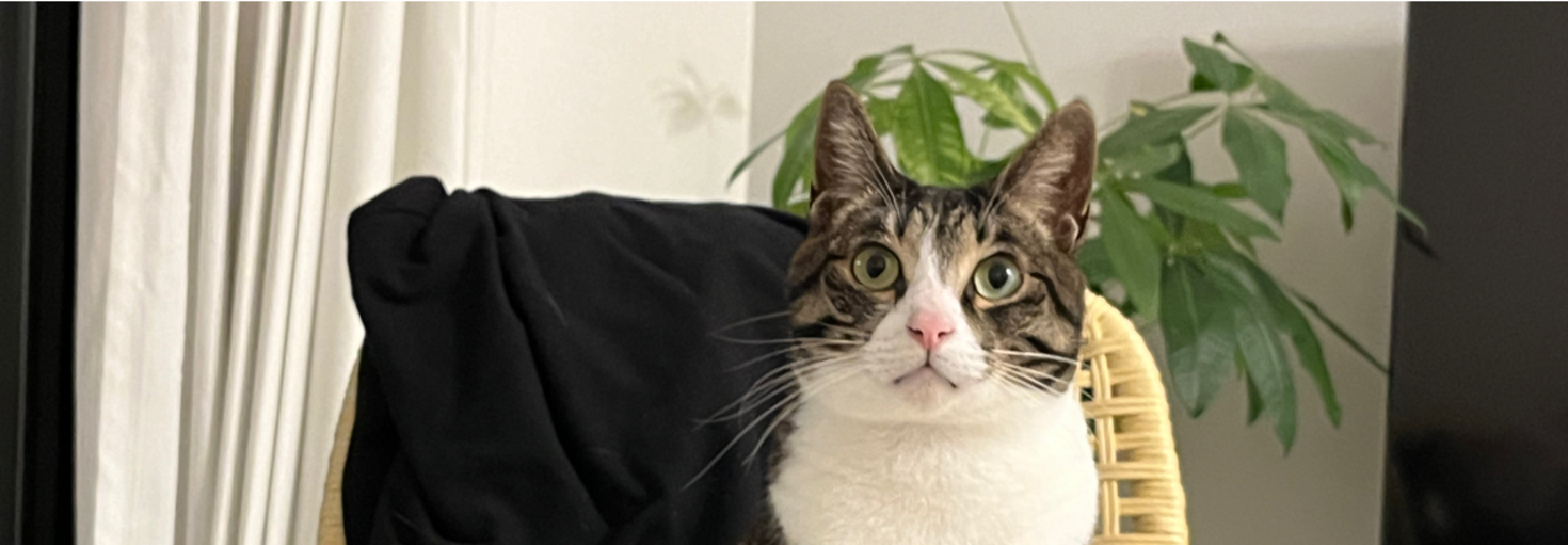 レビュアーのカバー画像