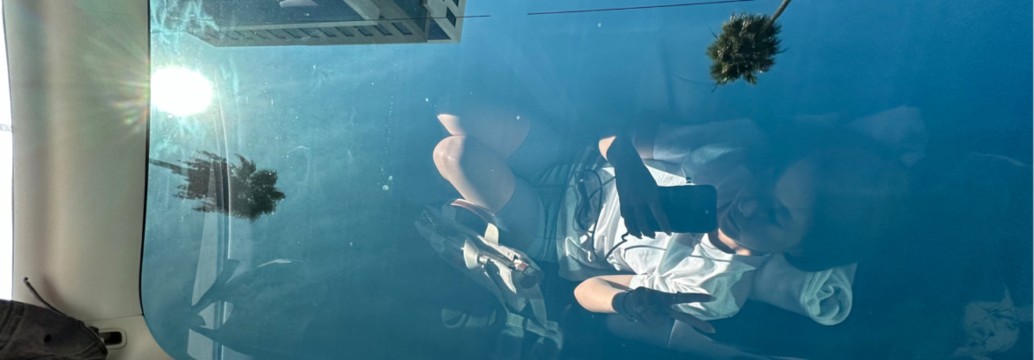 レビュアーのカバー画像