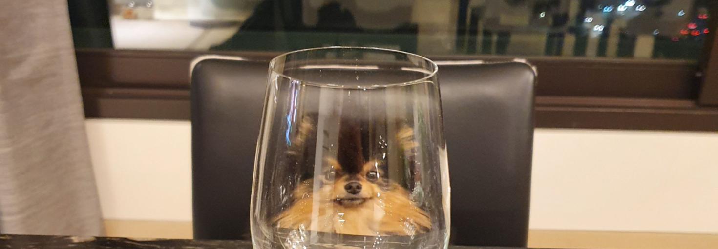 レビュアーのカバー画像