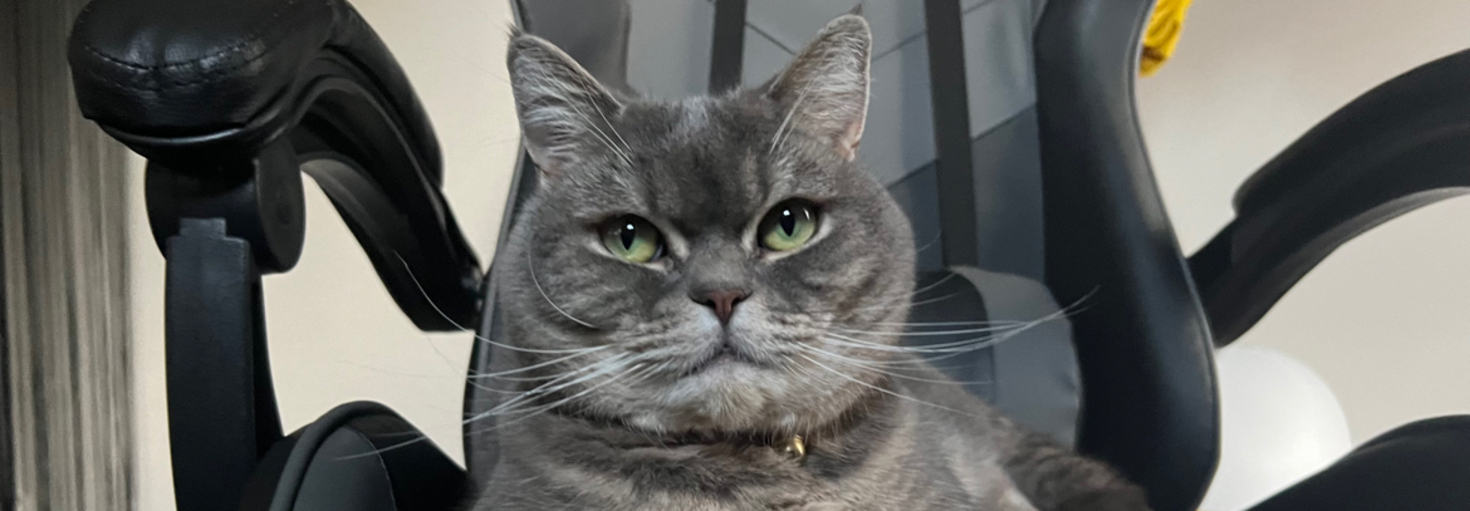 レビュアーのカバー画像