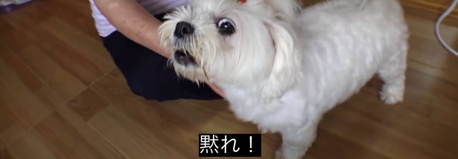 レビュアーのカバー画像