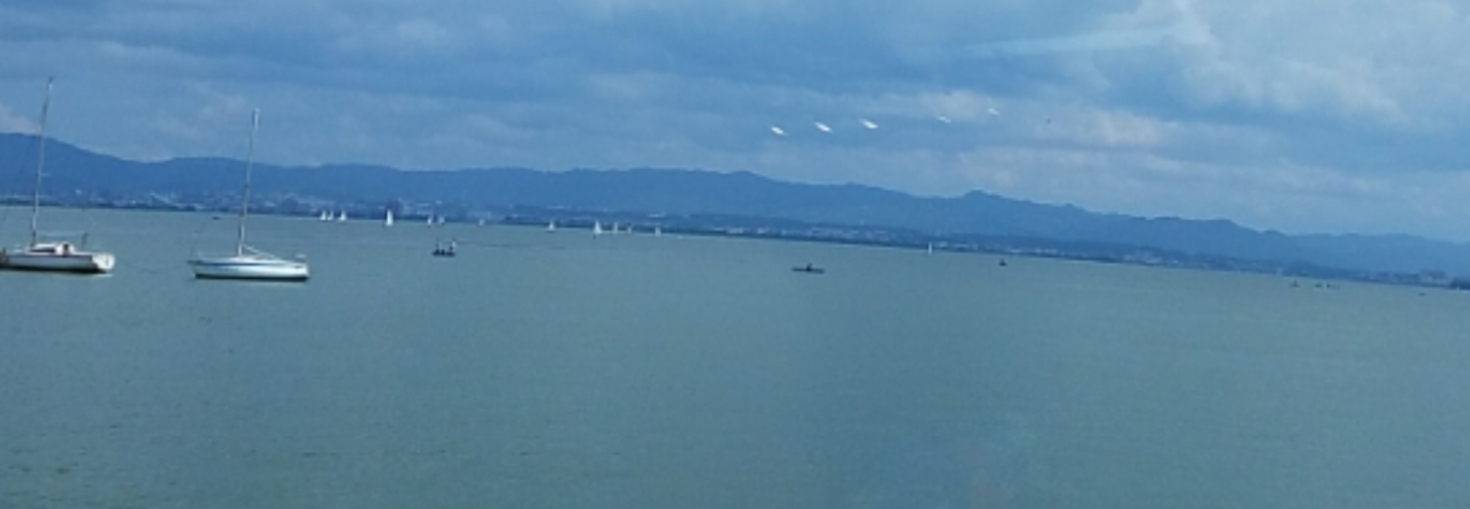 レビュアーのカバー画像