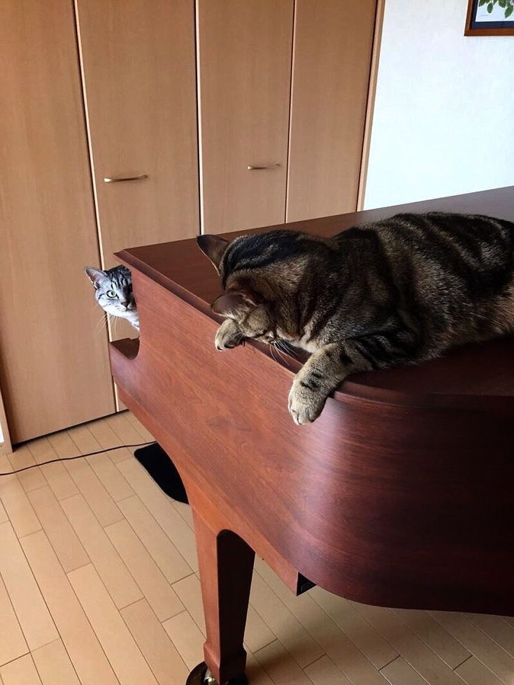 レビュアーのカバー画像