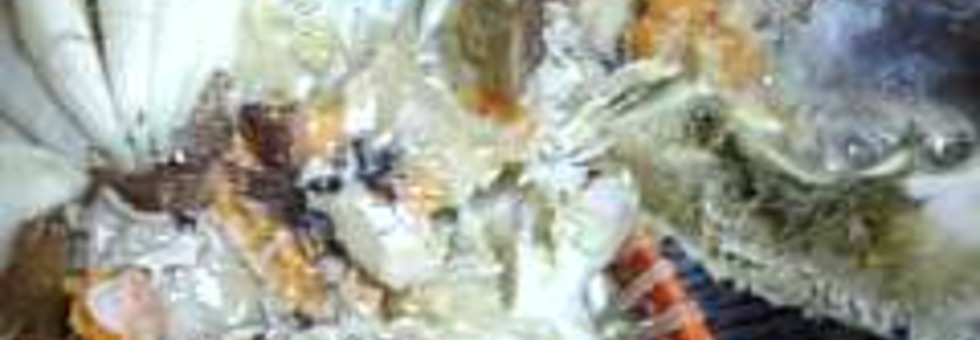 レビュアーのカバー画像