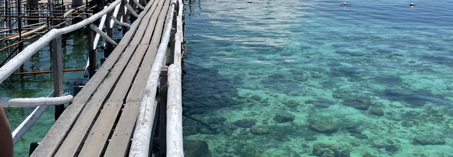 レビュアーのカバー画像