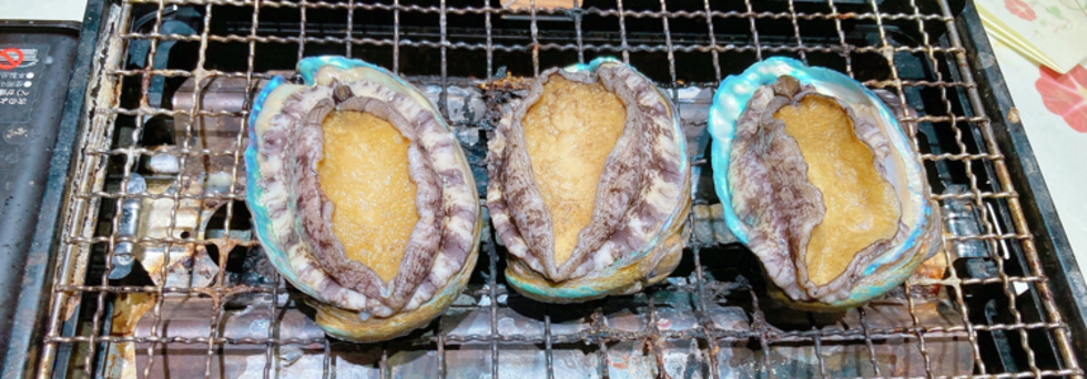 レビュアーのカバー画像