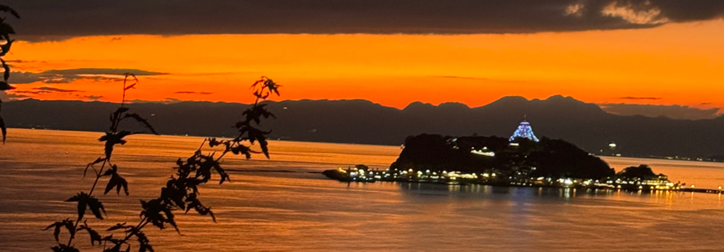 レビュアーのカバー画像