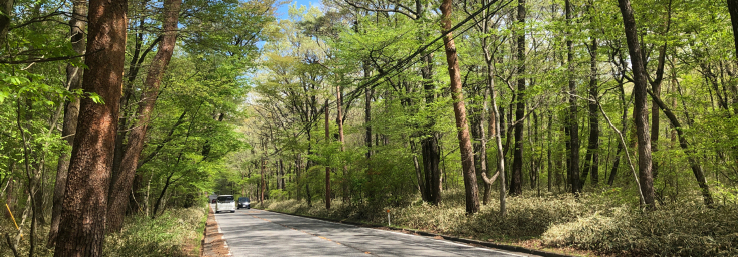 レビュアーのカバー画像