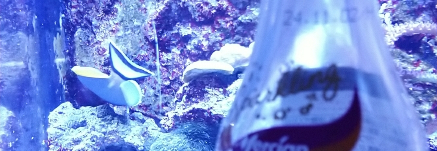 レビュアーのカバー画像