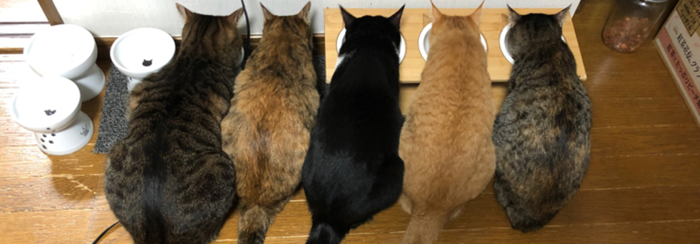 レビュアーのカバー画像