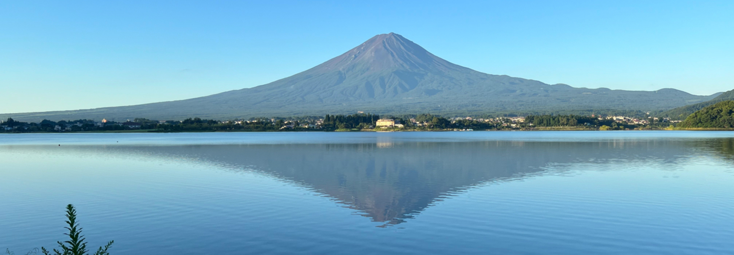 レビュアーのカバー画像