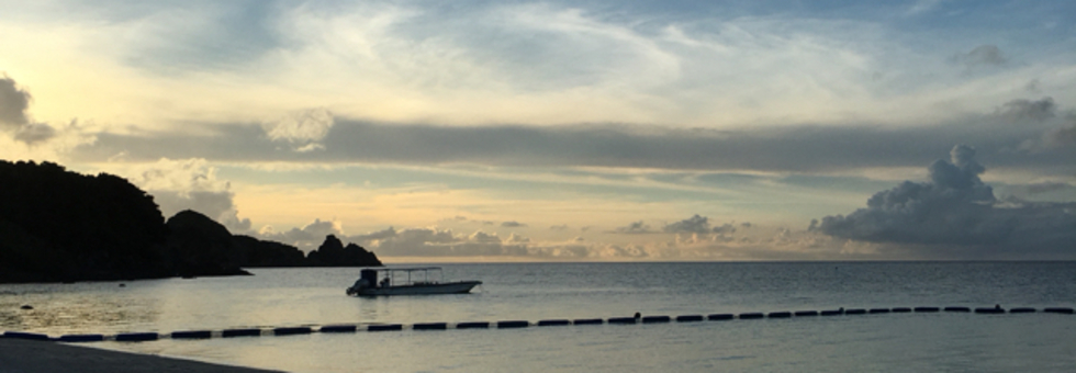 レビュアーのカバー画像