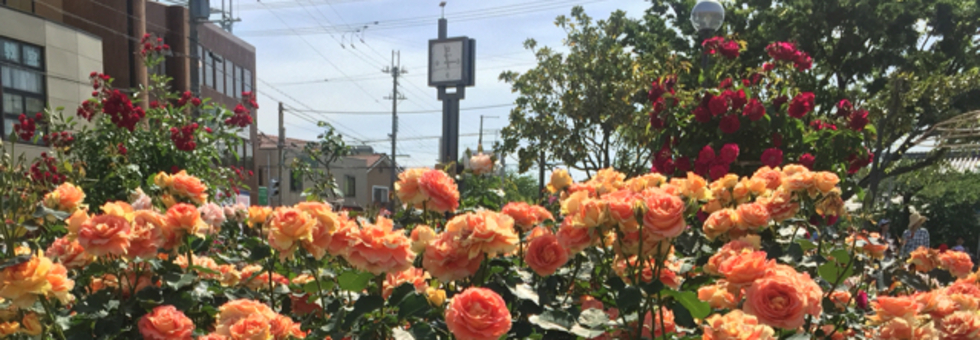 レビュアーのカバー画像