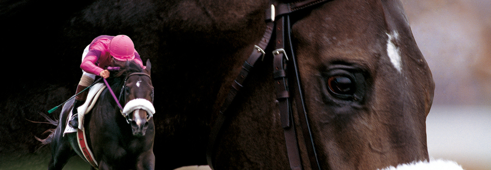 シャドーロールの怪物 ナリタブライアンさんのトップページ 食べログ