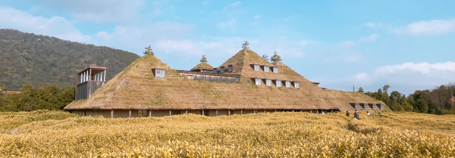 レビュアーのカバー画像