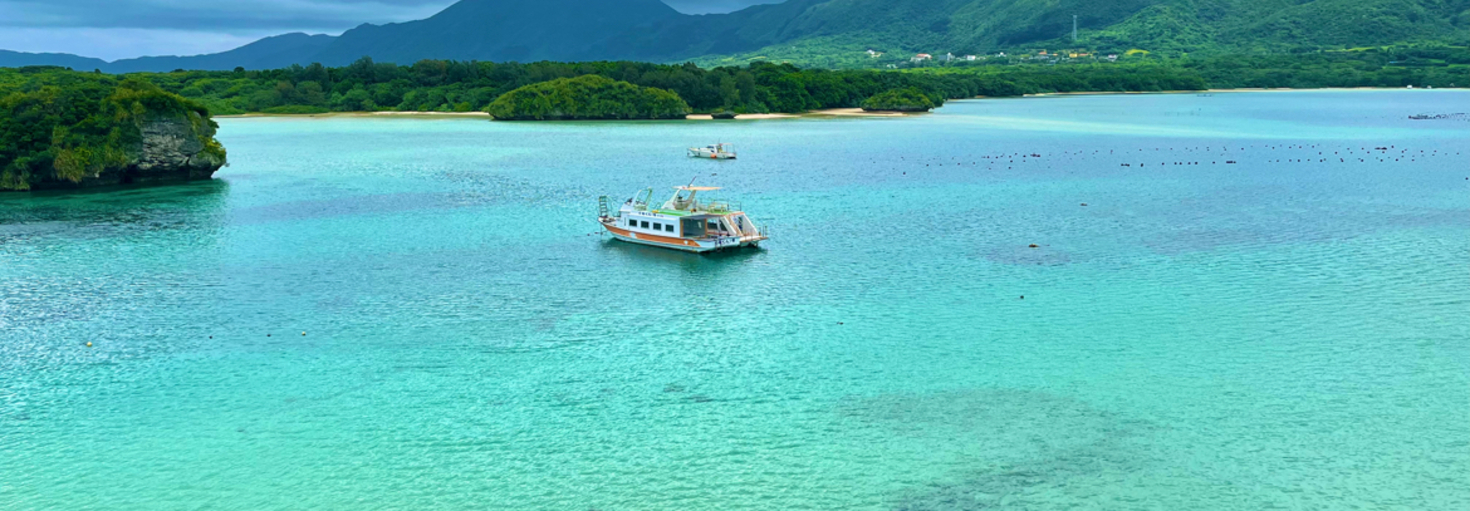 レビュアーのカバー画像