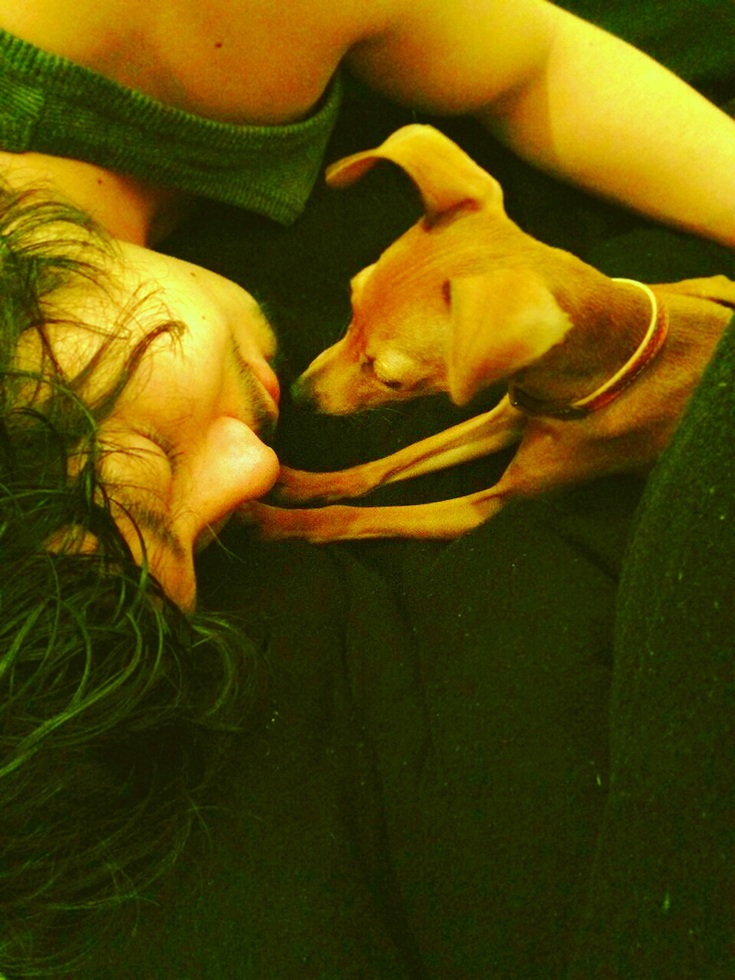 レビュアーのカバー画像