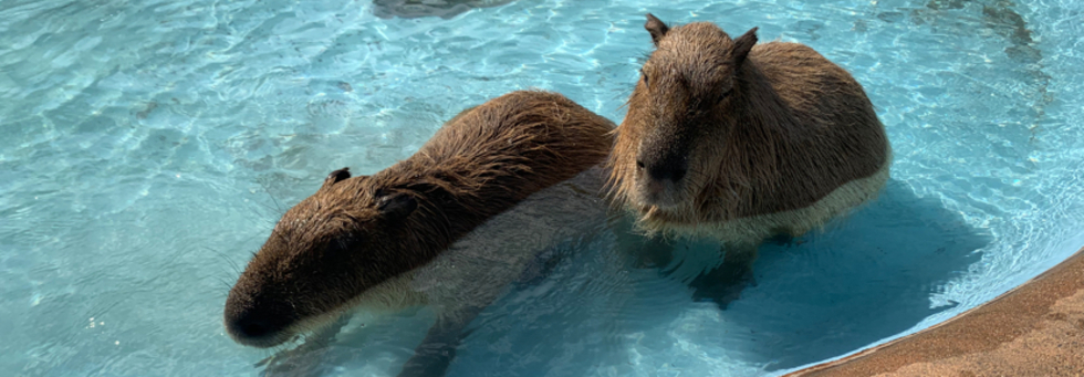 レビュアーのカバー画像