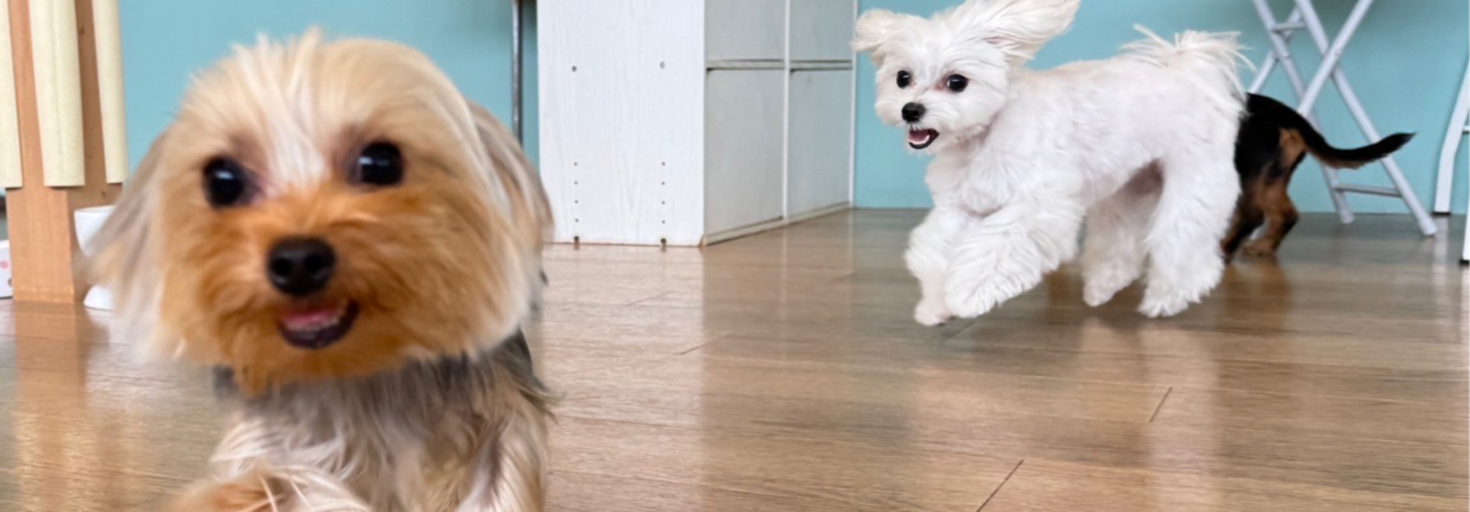 レビュアーのカバー画像