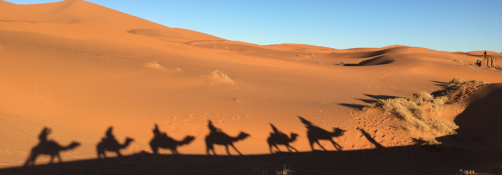 レビュアーのカバー画像