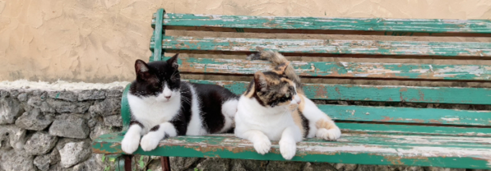 レビュアーのカバー画像