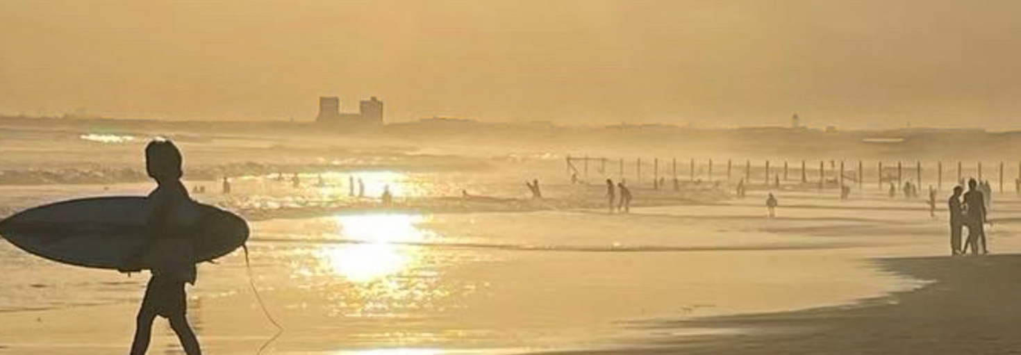 レビュアーのカバー画像