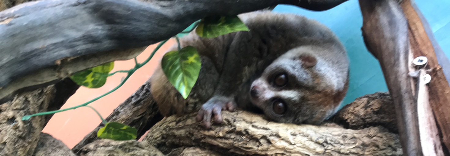 レビュアーのカバー画像