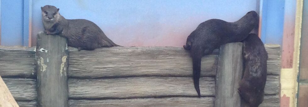 レビュアーのカバー画像