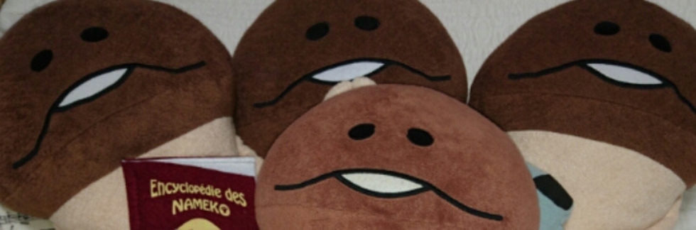 レビュアーのカバー画像