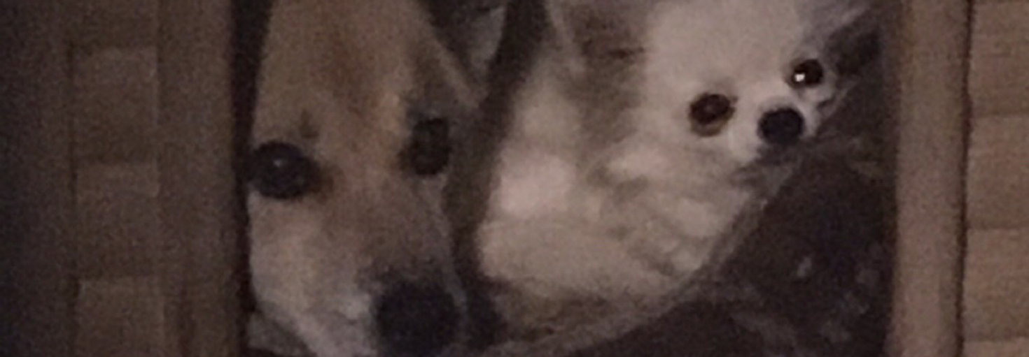 レビュアーのカバー画像