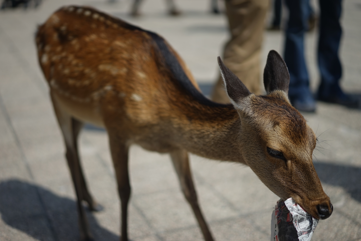 レビュアーのカバー画像