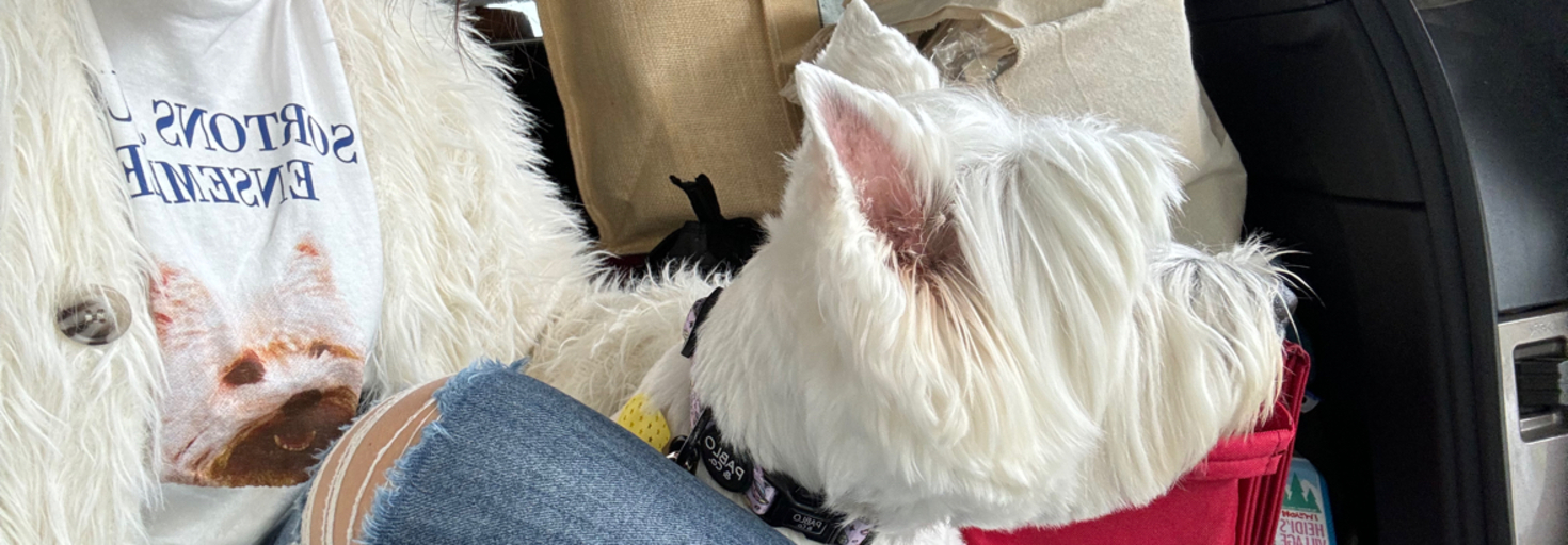 レビュアーのカバー画像