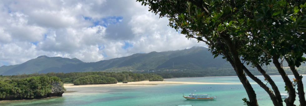 レビュアーのカバー画像