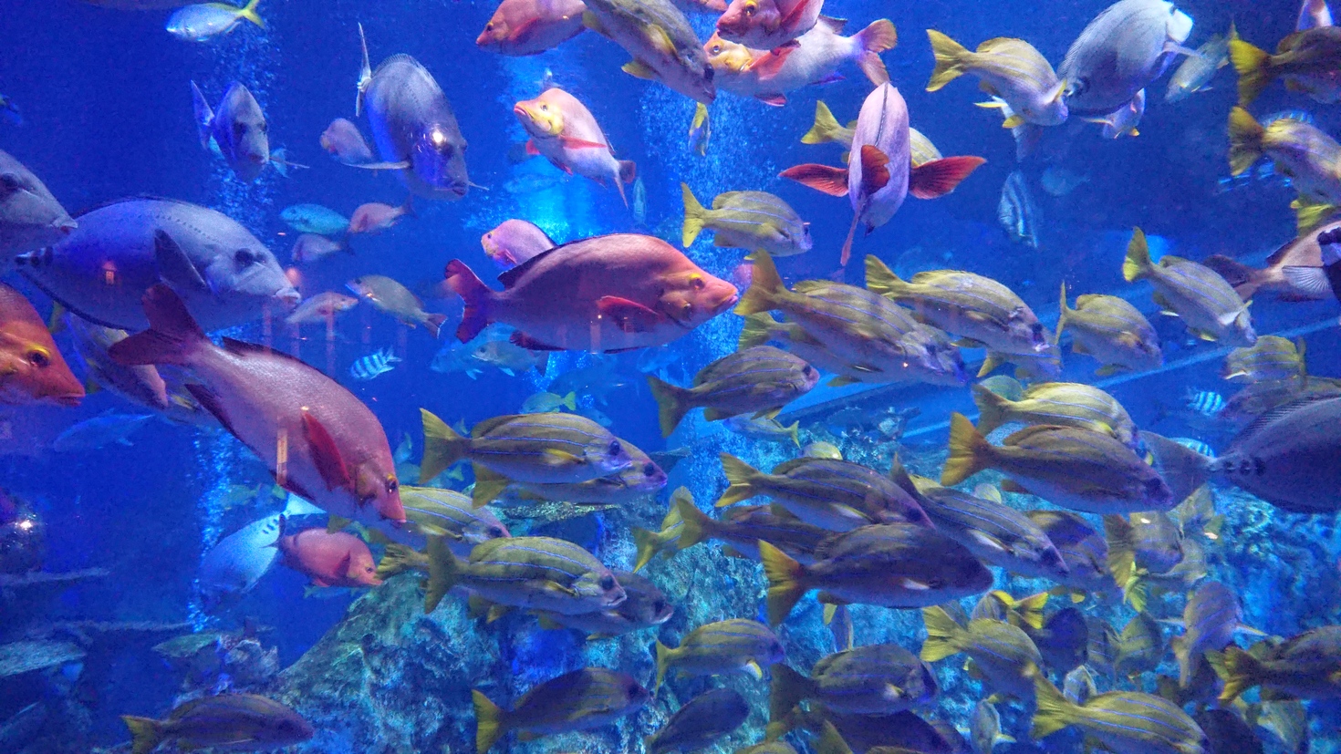 レビュアーのカバー画像