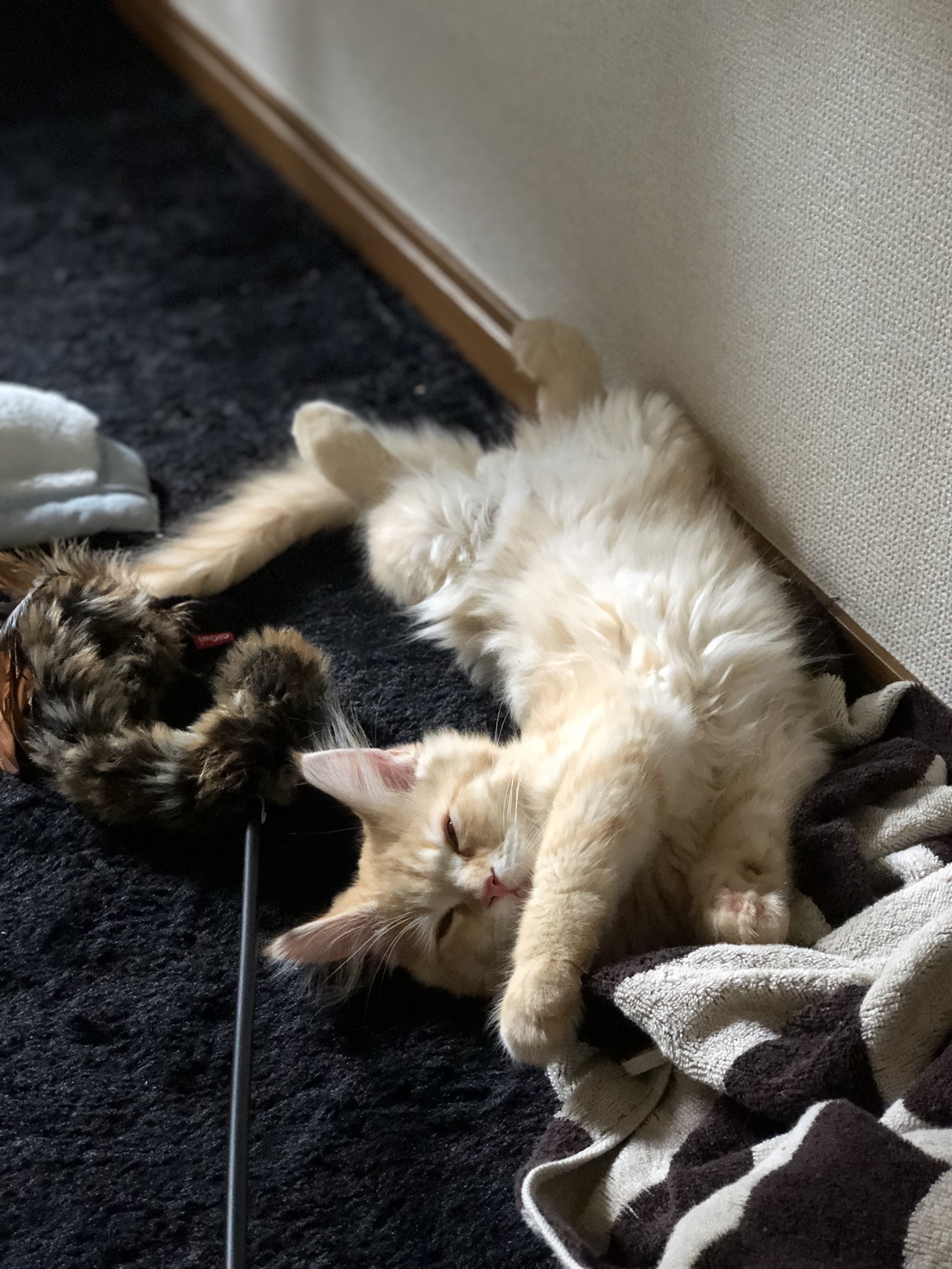 レビュアーのカバー画像