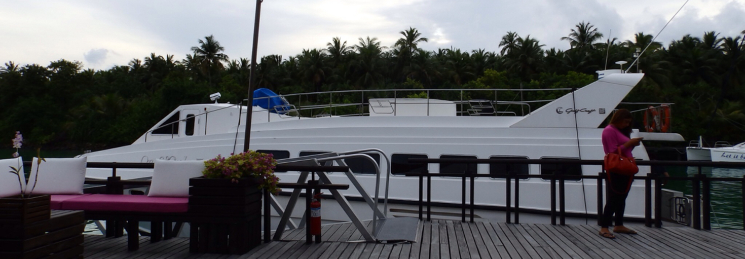 レビュアーのカバー画像