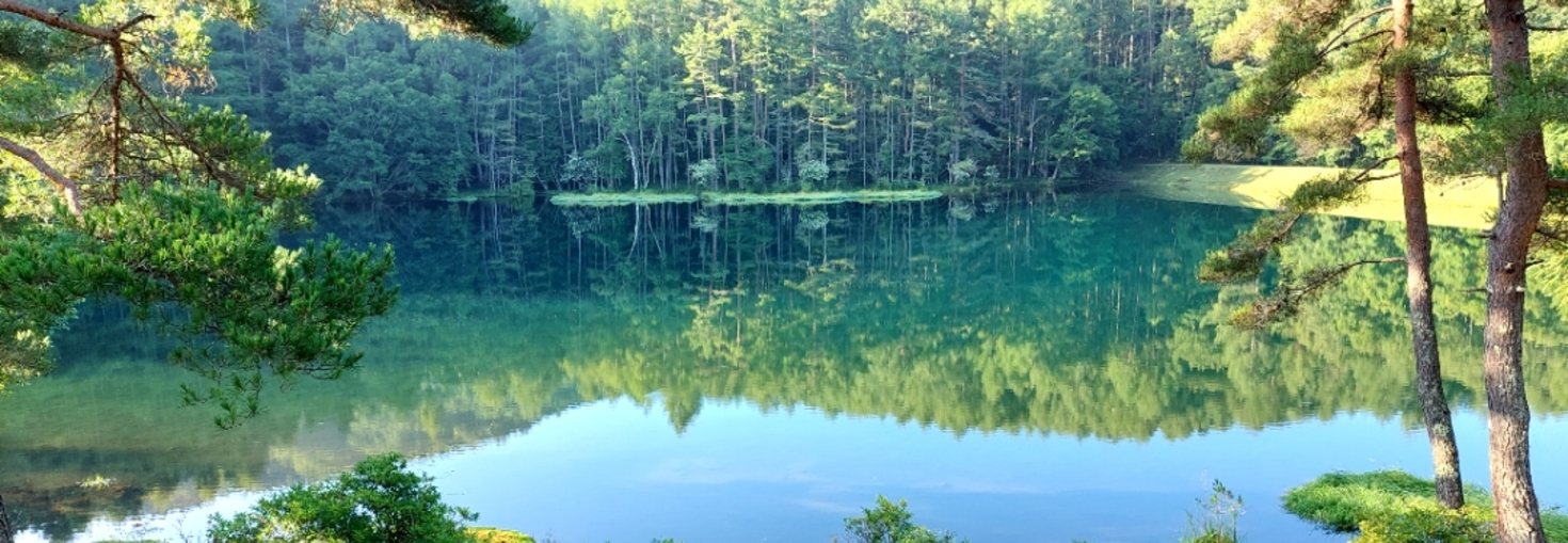 レビュアーのカバー画像