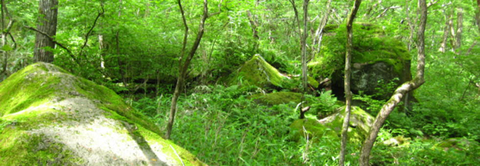 レビュアーのカバー画像