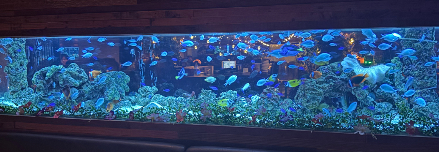 レビュアーのカバー画像