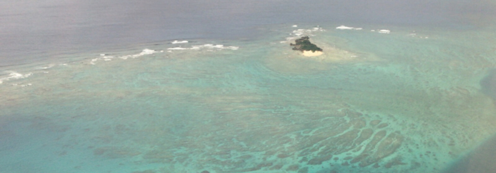 レビュアーのカバー画像